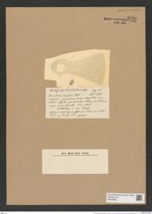 Coscinodiscus mirificus Castrac. (de-Toni-Nr.: Genus 202, Species 5004) Zeichnungen Sammlung Grunow Nr. 8720 (NHMW-BOT-W0378295)
